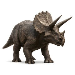 Fototapeta premium Triceratops Dinosaur Model Render