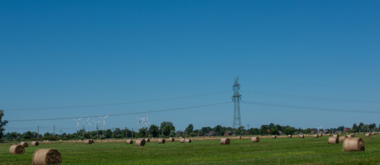 Heuernte verarbeitet zu Rundballen auf einem Feld