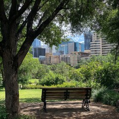 City Park. A bench in a beautiful city park among green trees and grass against the backdrop of large skyscrapers and buildings. The concept of a comfortable and environmentally friendly city.