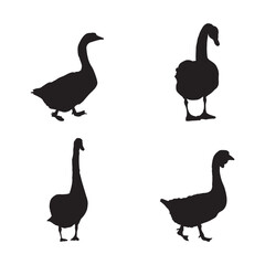 Swan and Duck Silhouette Set Black Vector Illustrations Isolated on White Background