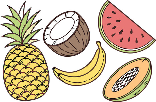 Tropical Fruit Vector Collection. Summer Exotic Fruits Flat Design. Colorful Fresh Fruit Pack Illustration, Clean Tropical Fruits. Juicy Summer Fruit Set