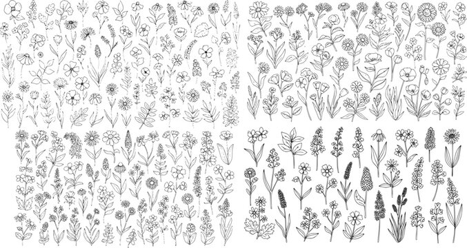 wild plants and wild flowers, large collection of hand drawn flowers in monoline doodle style
