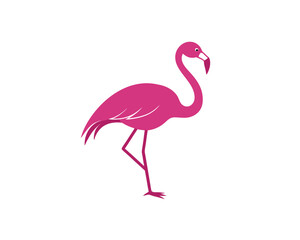 Fototapeta premium Minimal Flamingo Silhouette – Elegant Bird Vector on Plain Background