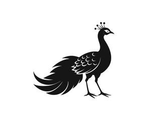 Fototapeta premium Peacock Bird Vector Illustration Peacock Vector Art – Detailed Exotic Bird on White BackgroundIsolated on White Background