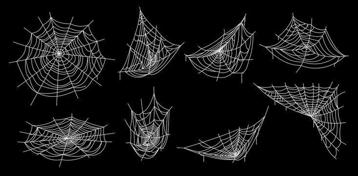 Vector illustration of multiple spider webs on a dark background, perfect for Halloween designs, spooky themes, gothic decorations, party posters, and abstract textures.