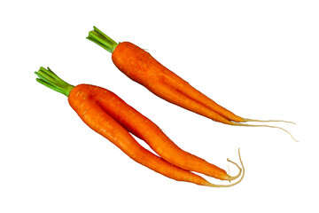 Carrots on white background