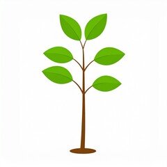 Plant as a vector isolated in white
