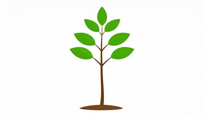 Plant as a vector isolated in white