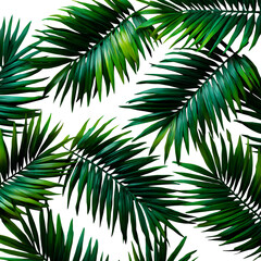Obraz premium Scattered palm fronds, large and wide, deep green in color, arranged randomly on a clean white background, no shadows.