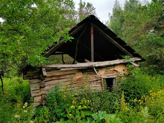 Abandoned Wooden Log House Decaying in Forest – Rustic Ruins and Forgotten Architecture.