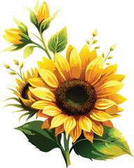 Beautiful watercolor illustration of blooming sunflowers with lush green leaves on white background