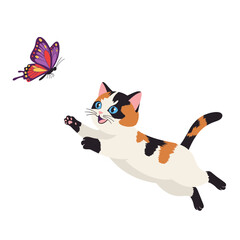 cat and butterfly