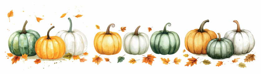 Watercolor set of pumpkins png. Various autumn pumpkins of white, orange and green colors with autumn leaves. Concept of rural and farm autumn harvest. Elements for autumn designs, Thanksgiving.