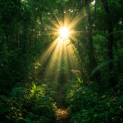 Fototapeta premium Sunbeams Illuminate Lush Green Tropical Forest Path