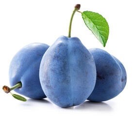 Three prune plums with green leaf on white background. File contains clipping paths.