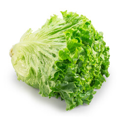 Wavy ruffled leaves of Batavia lettuce on white background. File contains clipping path.