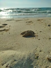 Sunny Beach Scene with Sand and Clear Sky