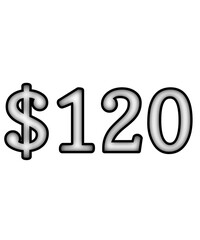 dollar sign on white background $120