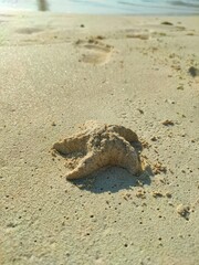 Sunny Beach Scene with Sand and Clear Sky