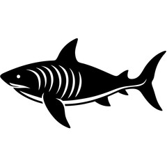 Obraz premium Tiger shark silhouette swimming