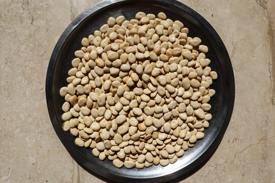 Dry Broad beans, Indian lentils pulses fava beans