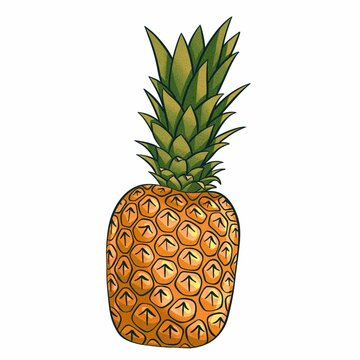 pinaple fruit