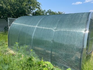 Protective netting stretched over greenhouse structure