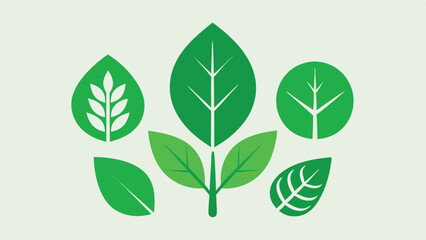 green tree leaves on white background, nature eliments vector leaves set