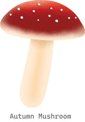 Autumn mushroom collection illustration