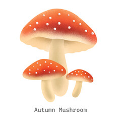 Autumn mushroom collection illustration