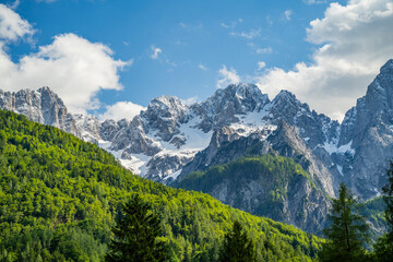 Fototapeta premium Triglav Gebirge Nationalpark