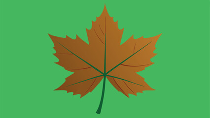 Beautiful watercolor autumn leaves collection with vibrant shades of orange, red, and yellow. Perfect for seasonal designs