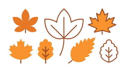 autumn leaves vector template. nature leaf seaign eliments