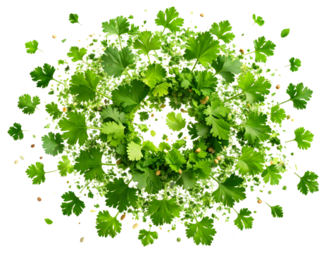  Artistic Splash of Falling Chopped Coriander, Top View Flat Lay, transparent background png