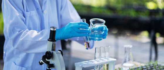 Scientist examining plants on an organic farm while holding research equipment. Conducting quality...