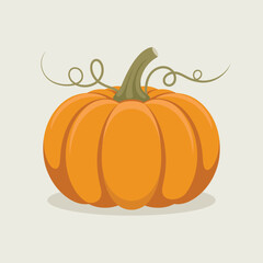 Single Orange Pumpkin with Stem and Vine Illustration
