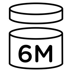 6Months PAO icon Thin line vector design
