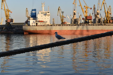Industrial harbor with cargo ships