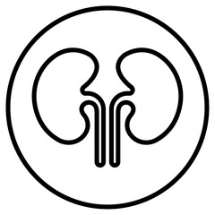 human kidneys icon Thin line vector design
