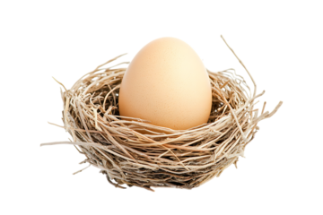 Single brown egg in bird nest isolated on transparent background