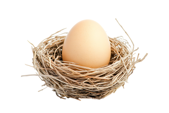 Single brown egg in bird nest isolated on transparent background