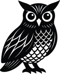 owl on white background