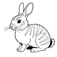 Annamite Striped Rabbit – Nesolagus timminsi. A gentle rabbit with striped fur, illustrated in a detailed sketch sitting on soft ground. The drawing highlights the animal's unique markings 