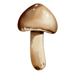 Watercolor forest mushroom. Hand drawn autumnal illustration perfect for autumn nature design.