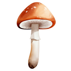Watercolor forest mushroom. Hand drawn fall illustration perfect for autumn nature design.