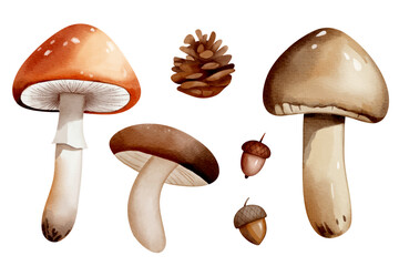 Set of watercolor mushrooms, acorns, cone. Hand drawn autumnal illustration perfect for autumn nature design.