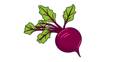 Radish vector, Radish illustration, Radish clipart, Radish icon, Radish drawing, Radish flat design, Radish realistic, Radish cartoon, Radish silhouette, Radish outline, Radish sketch, Fresh radish, O