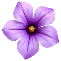 Purple anemone flower. Beautiful flower transparent background