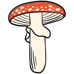 Illustration of a red toadstool mushroom with a white stem and white spots on the cap. Perfect for woodland themes, fairytales, forest nature scenes, autumn vibes or children's books.