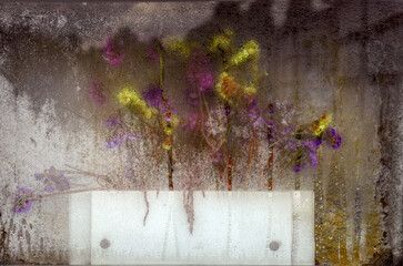 Abstract background of artificial flowers behind fogged glass